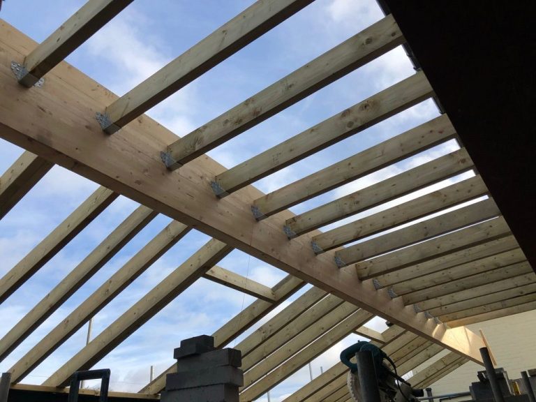 WhatsApp Image 2025-02-14 at 12.51.22 pm